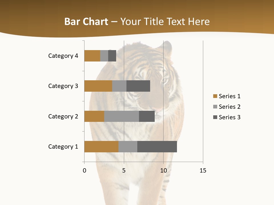 Cat Studio Undomesticated PowerPoint Template