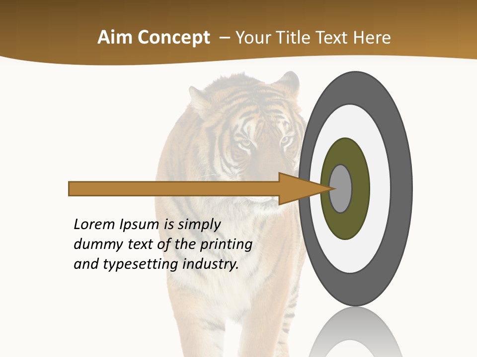 Cat Studio Undomesticated PowerPoint Template