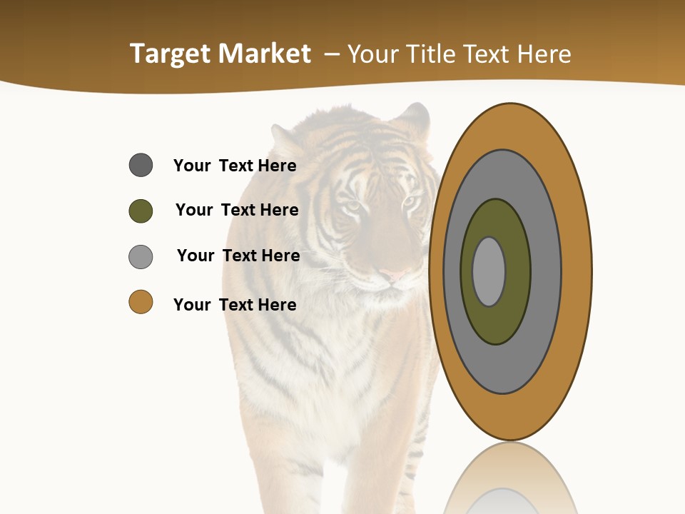 Cat Studio Undomesticated PowerPoint Template