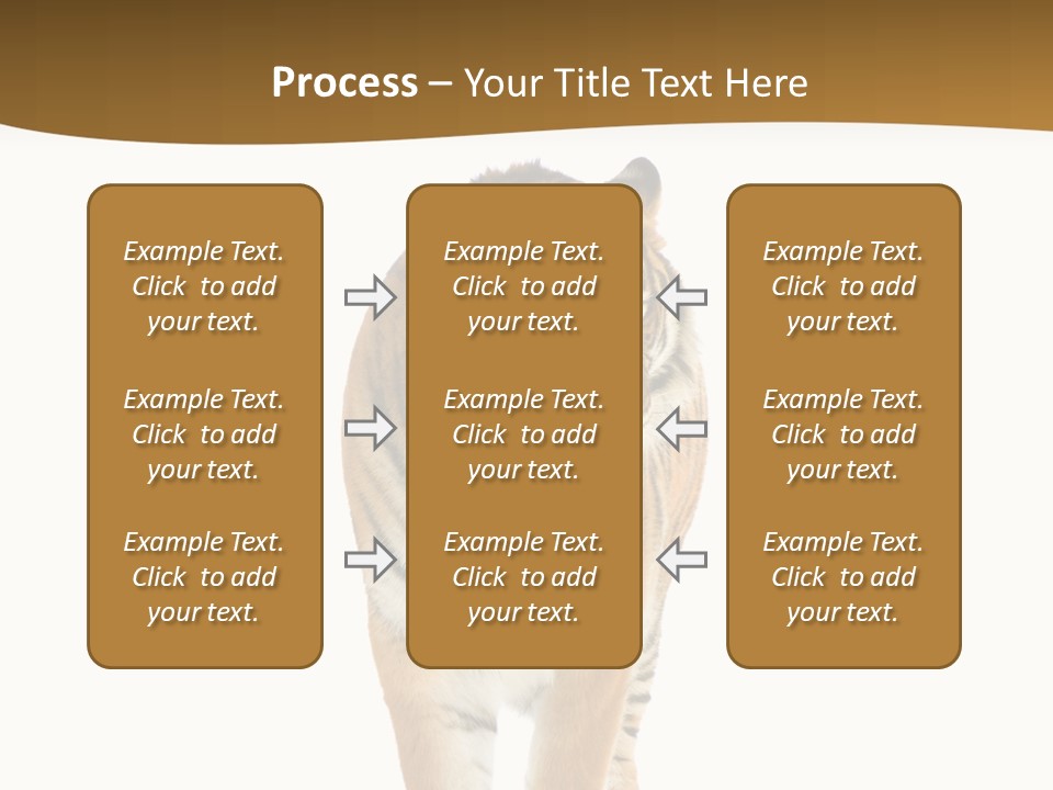 Cat Studio Undomesticated PowerPoint Template