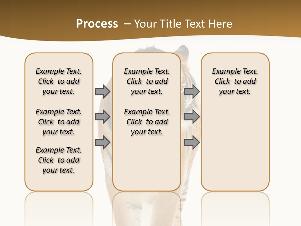 Cat Studio Undomesticated PowerPoint Template