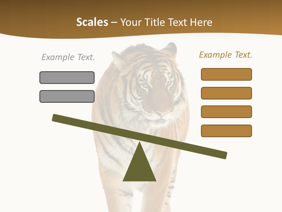 Cat Studio Undomesticated PowerPoint Template