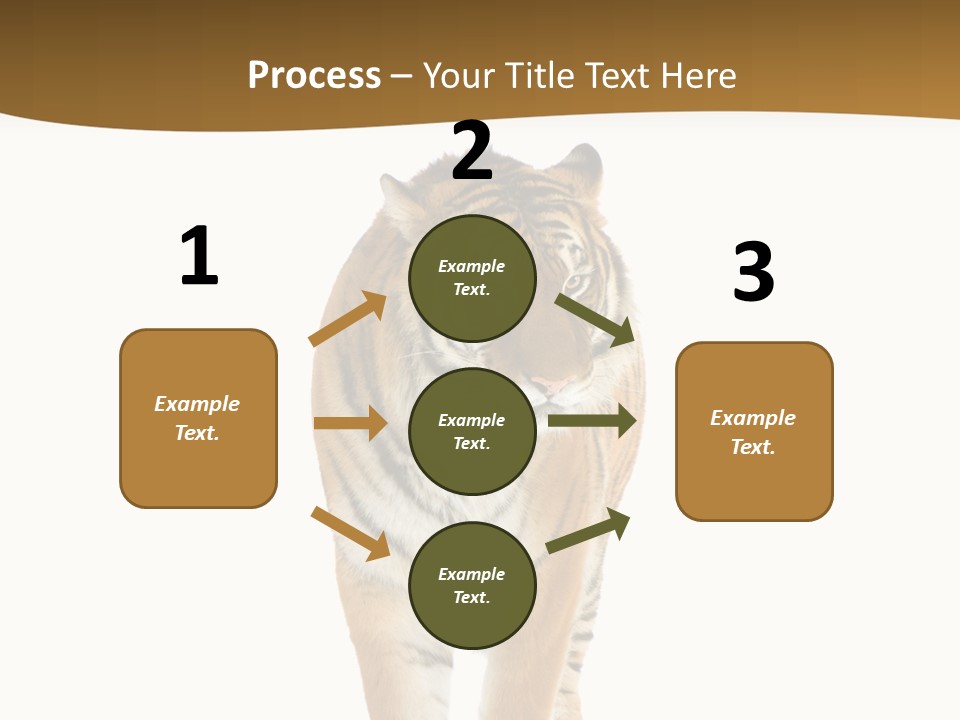 Cat Studio Undomesticated PowerPoint Template