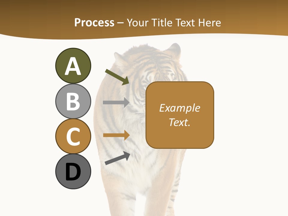 Cat Studio Undomesticated PowerPoint Template