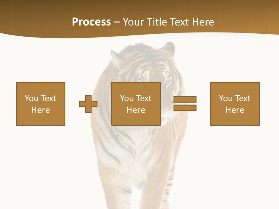 Cat Studio Undomesticated PowerPoint Template