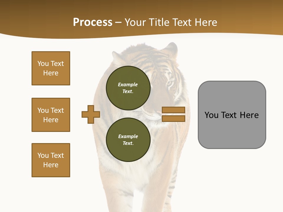 Cat Studio Undomesticated PowerPoint Template