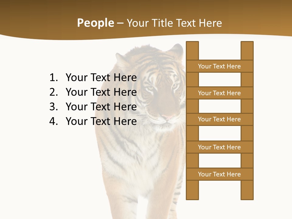 Cat Studio Undomesticated PowerPoint Template