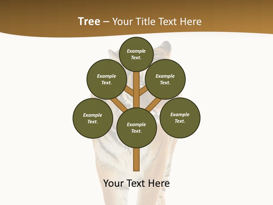 Cat Studio Undomesticated PowerPoint Template