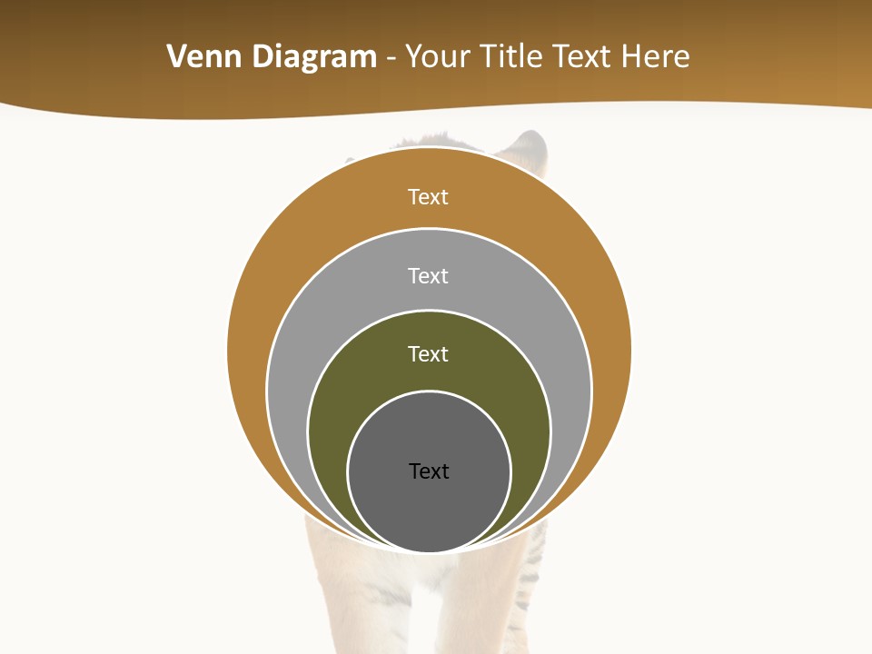 Cat Studio Undomesticated PowerPoint Template