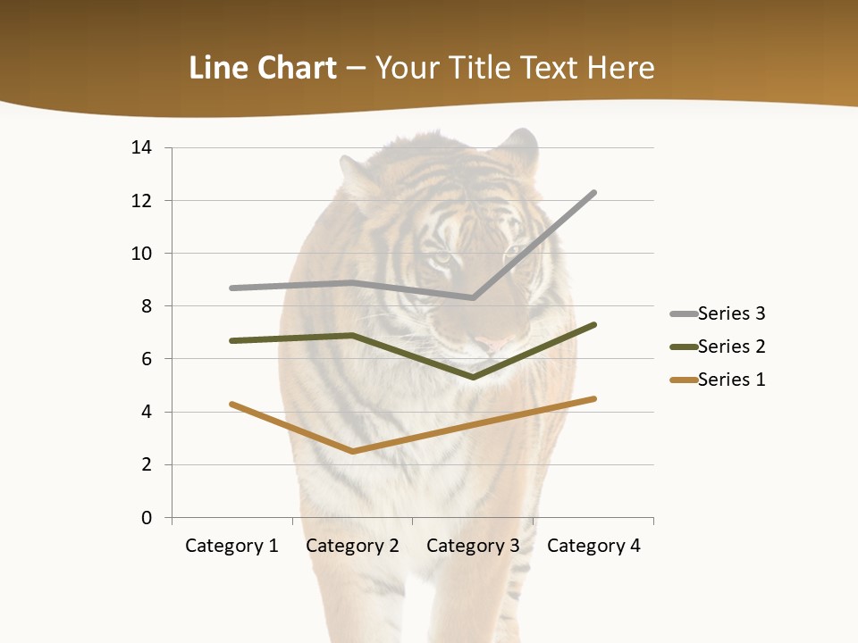 Cat Studio Undomesticated PowerPoint Template