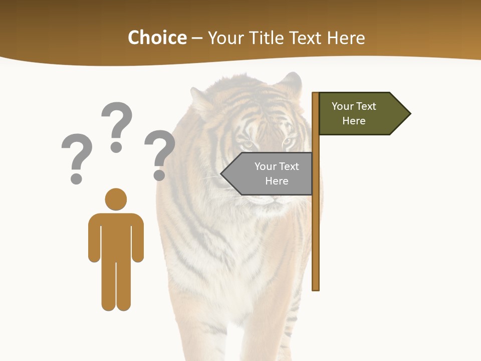 Cat Studio Undomesticated PowerPoint Template