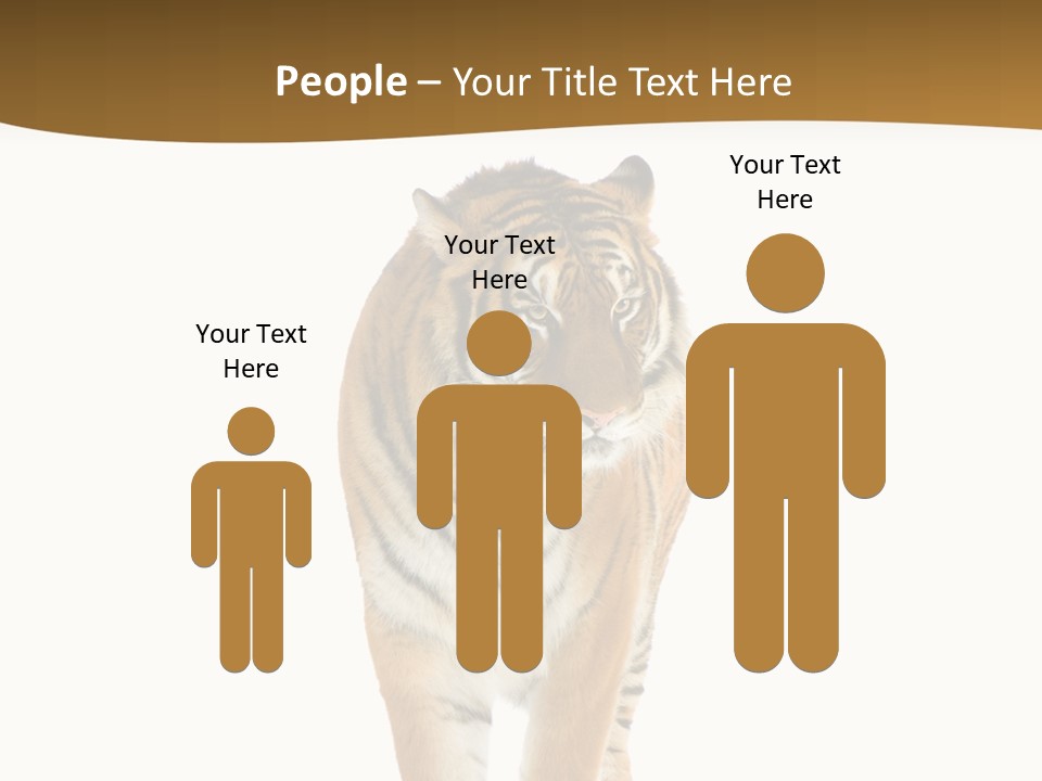 Cat Studio Undomesticated PowerPoint Template