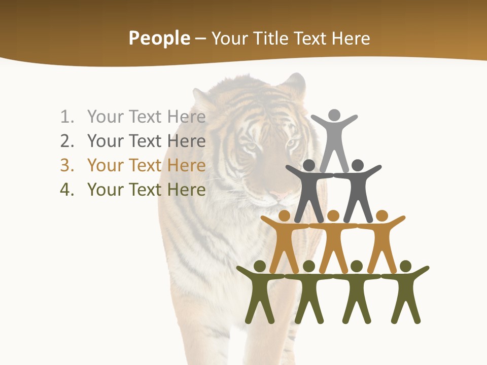 Cat Studio Undomesticated PowerPoint Template