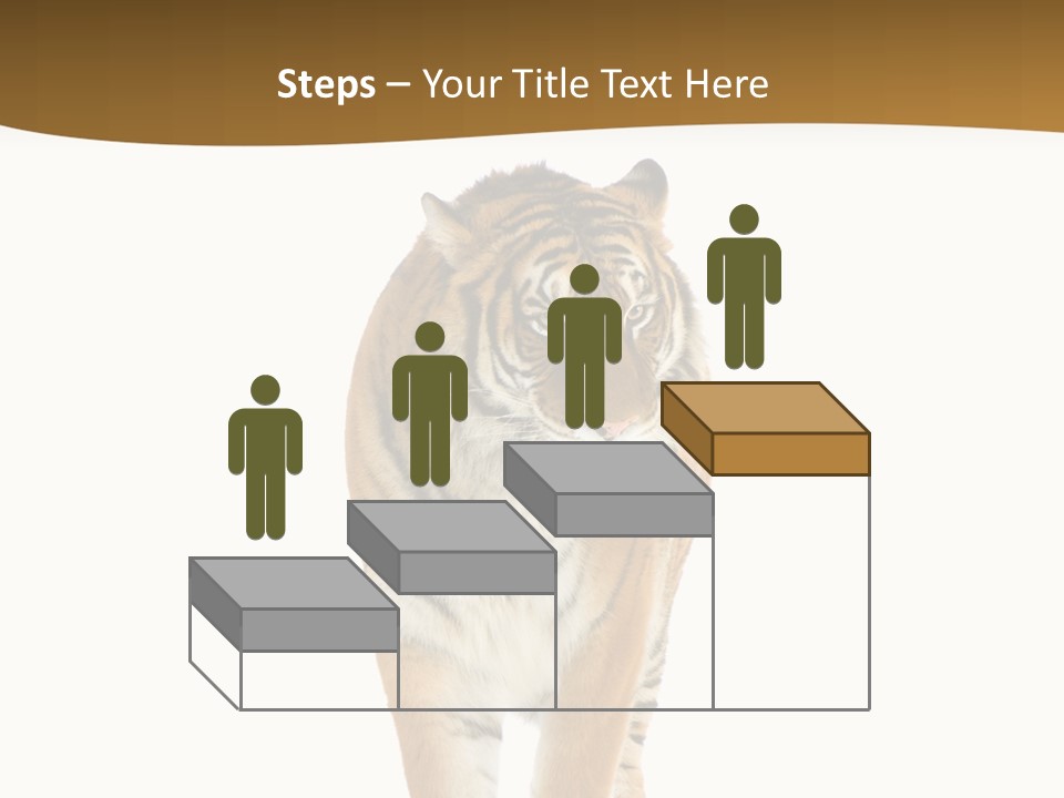 Cat Studio Undomesticated PowerPoint Template