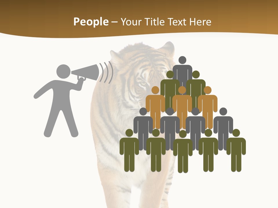 Cat Studio Undomesticated PowerPoint Template