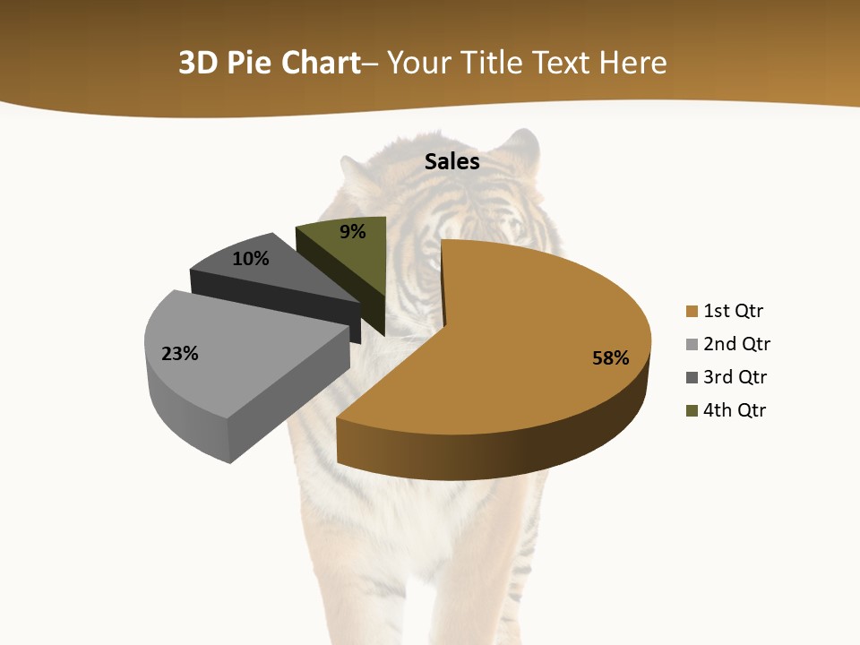 Cat Studio Undomesticated PowerPoint Template