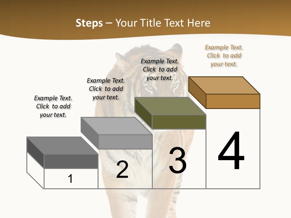 Cat Studio Undomesticated PowerPoint Template