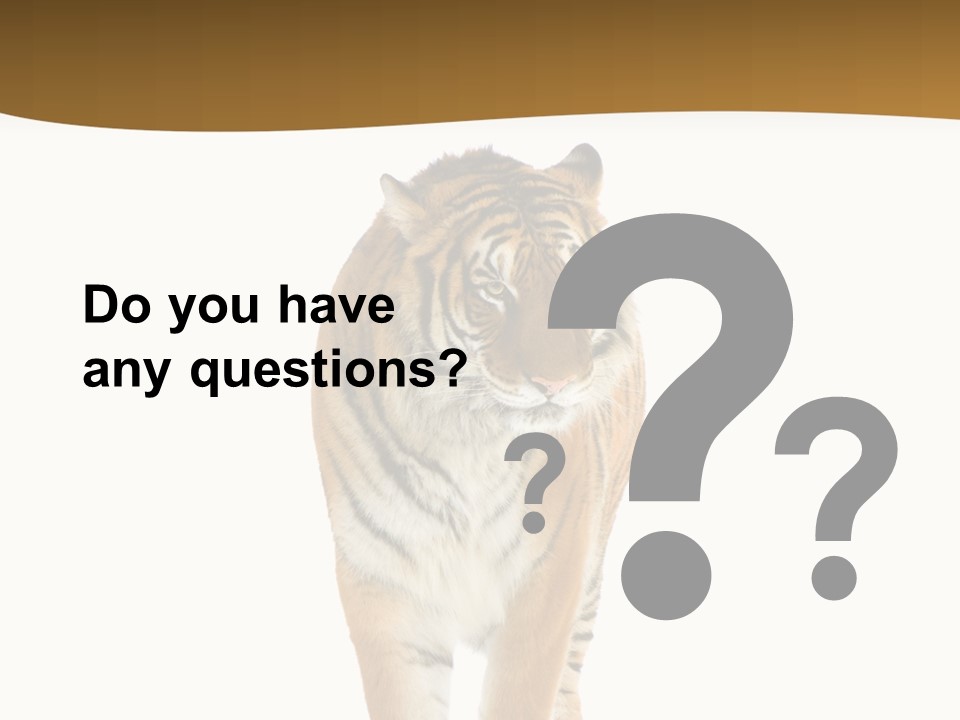 Cat Studio Undomesticated PowerPoint Template