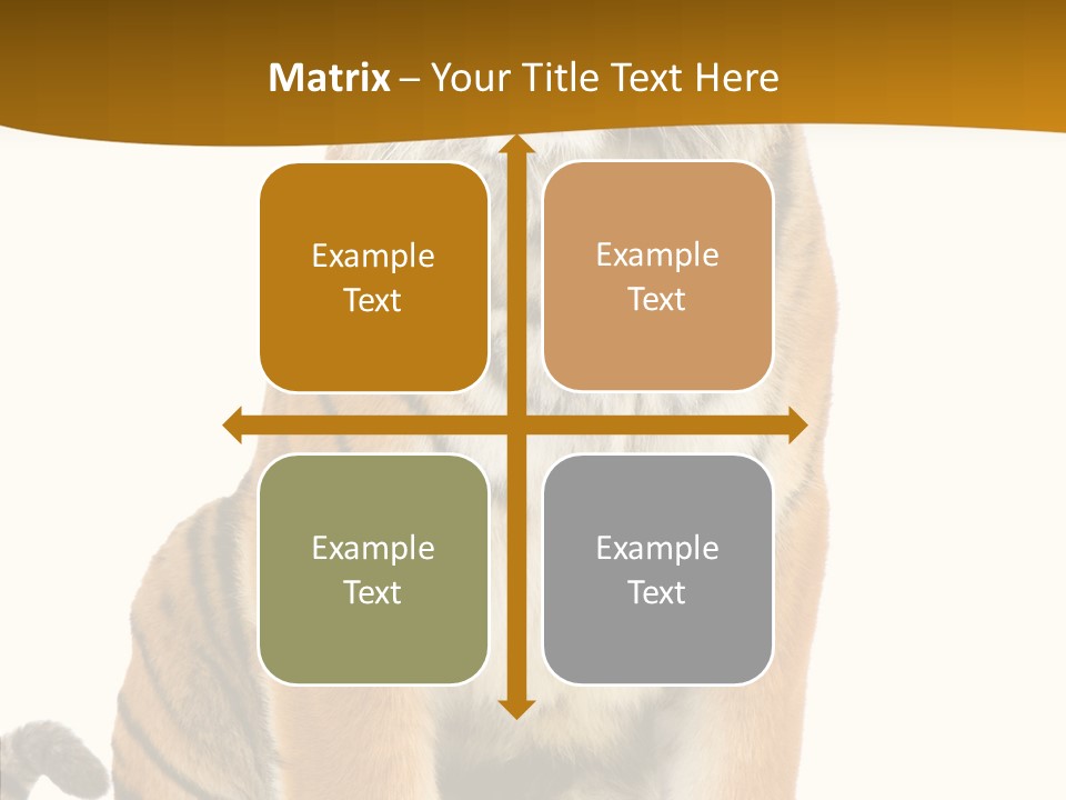 Stripes Fur Face PowerPoint Template