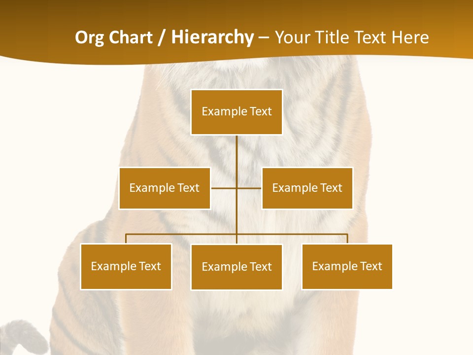 Stripes Fur Face PowerPoint Template