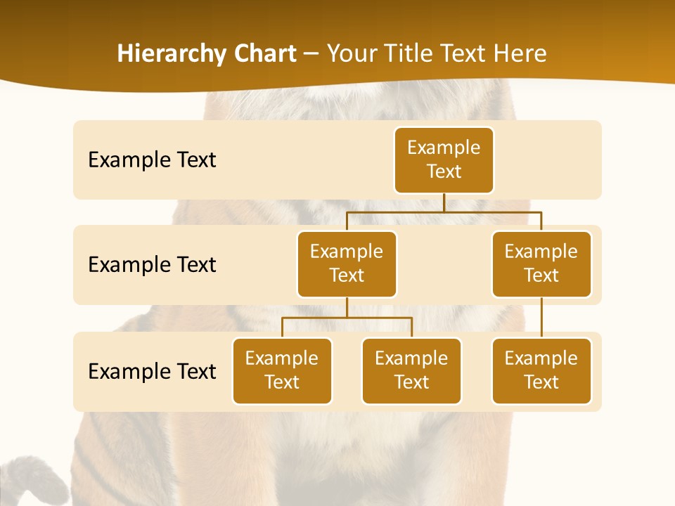 Stripes Fur Face PowerPoint Template