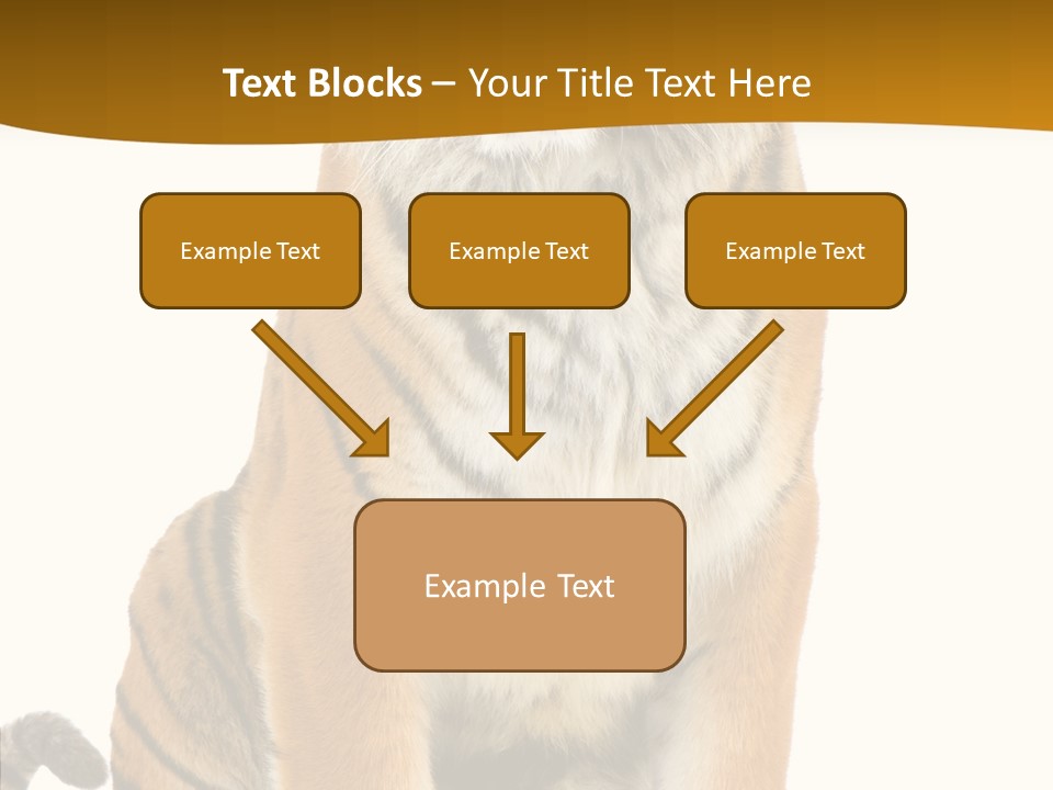 Stripes Fur Face PowerPoint Template