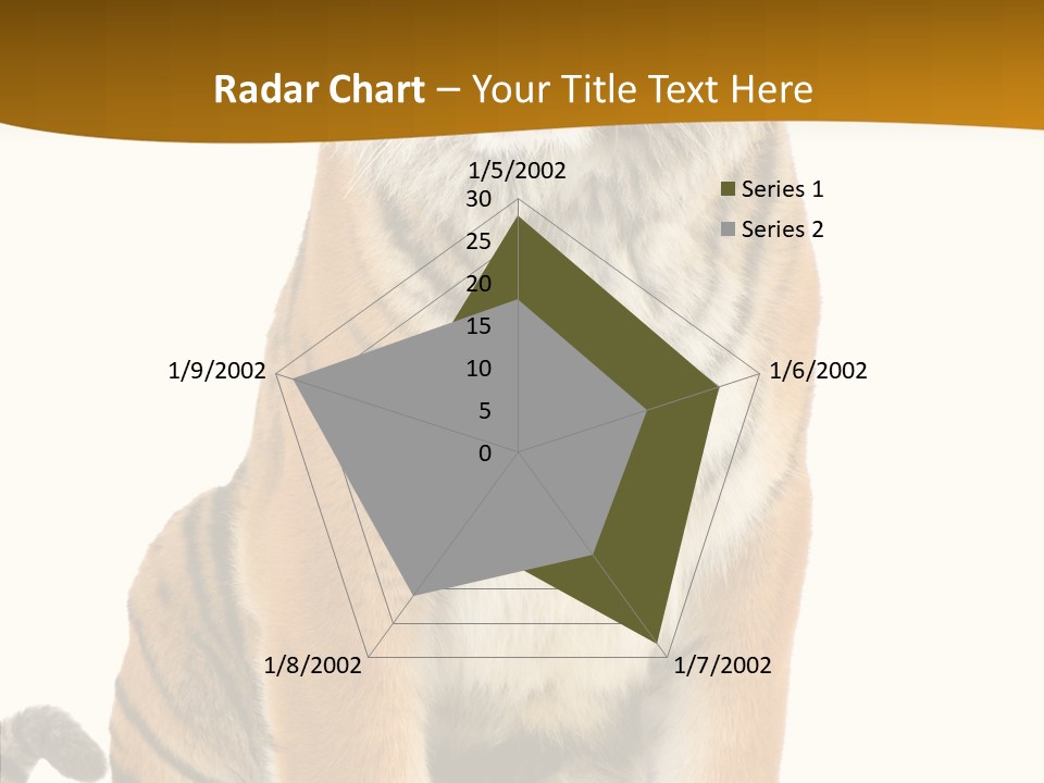 Stripes Fur Face PowerPoint Template