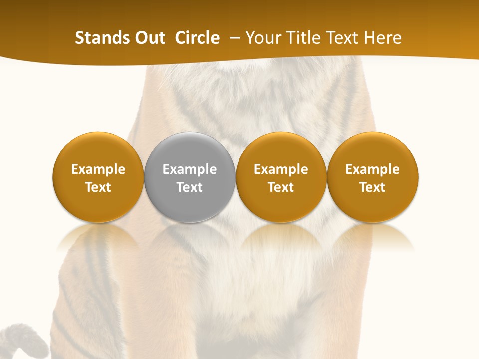 Stripes Fur Face PowerPoint Template