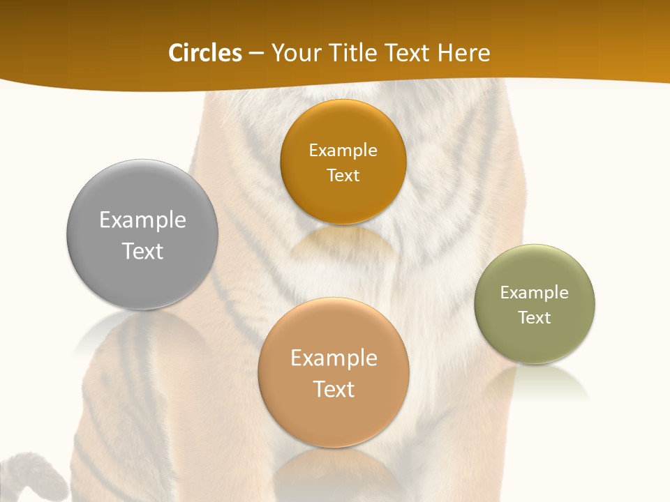 Stripes Fur Face PowerPoint Template