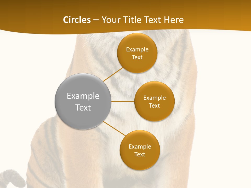 Stripes Fur Face PowerPoint Template