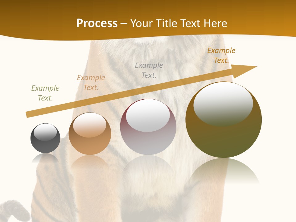 Stripes Fur Face PowerPoint Template