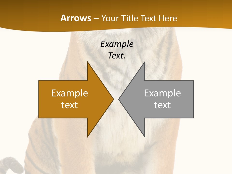 Stripes Fur Face PowerPoint Template