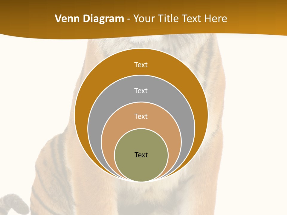 Stripes Fur Face PowerPoint Template