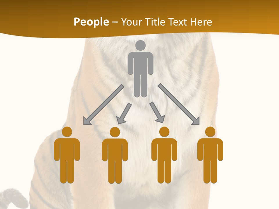 Stripes Fur Face PowerPoint Template