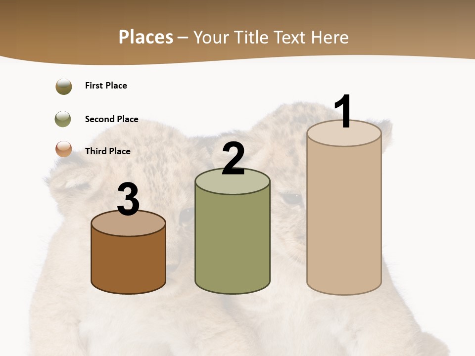 Whisker Animal Wild PowerPoint Template