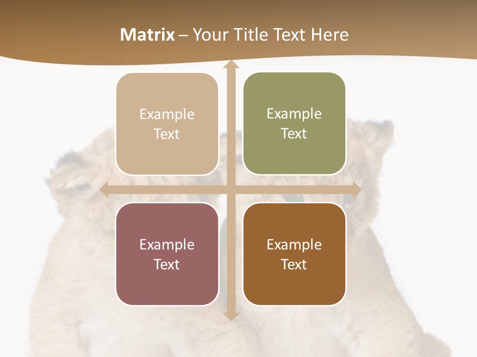 Whisker Animal Wild PowerPoint Template