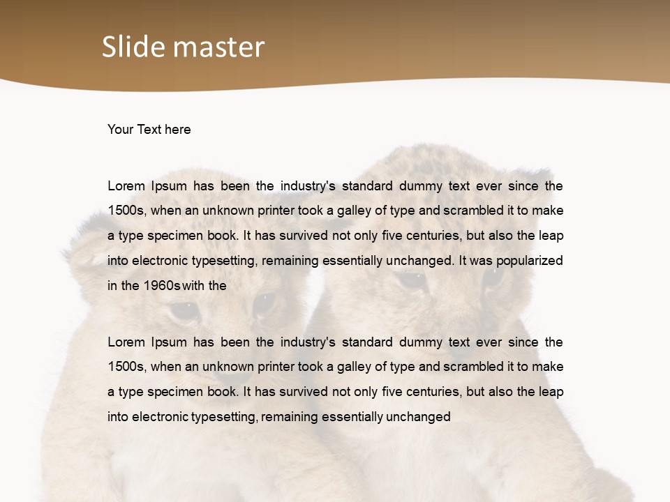 Whisker Animal Wild PowerPoint Template