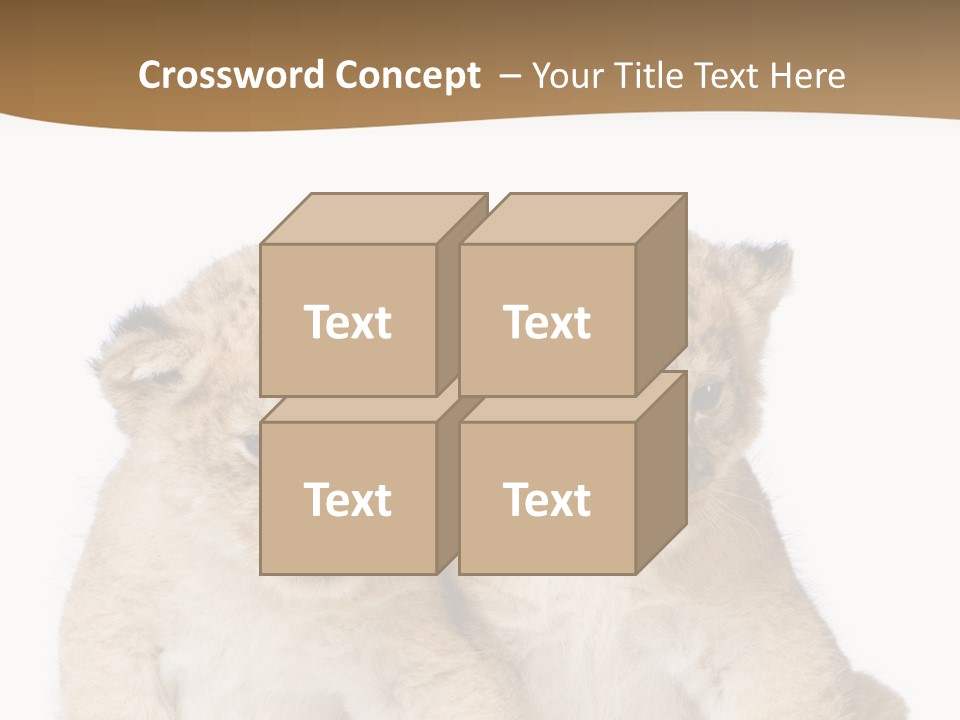 Whisker Animal Wild PowerPoint Template