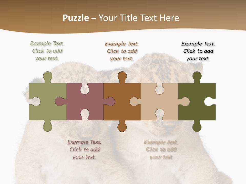 Whisker Animal Wild PowerPoint Template