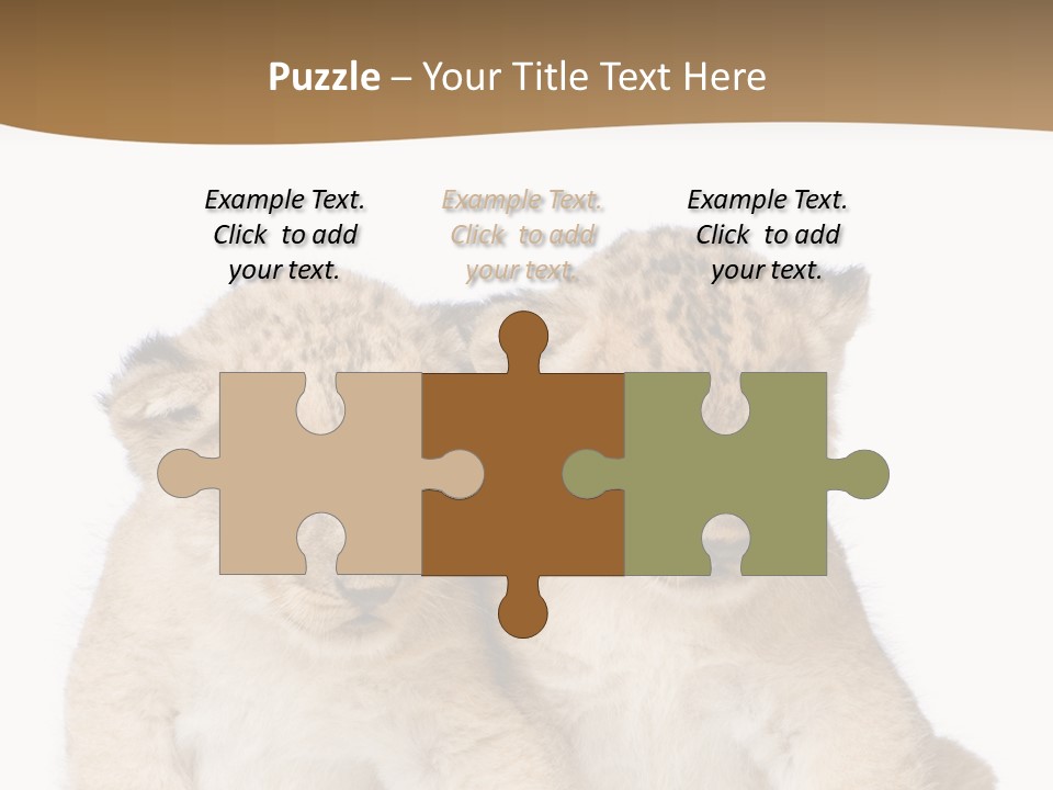 Whisker Animal Wild PowerPoint Template