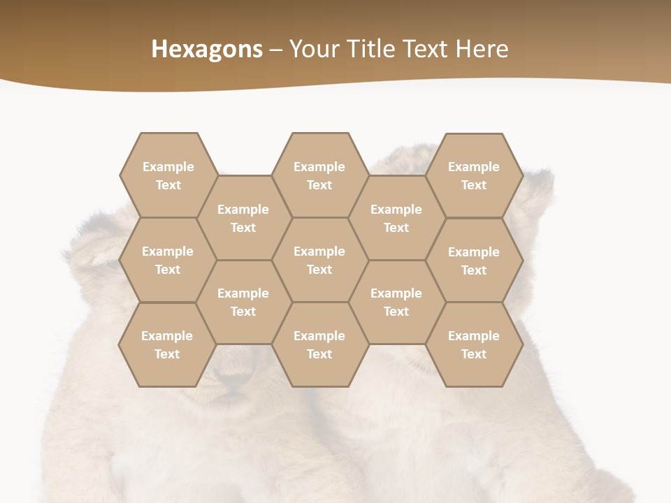 Whisker Animal Wild PowerPoint Template