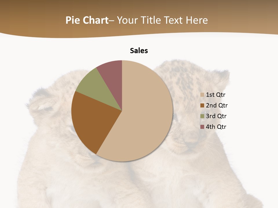 Whisker Animal Wild PowerPoint Template