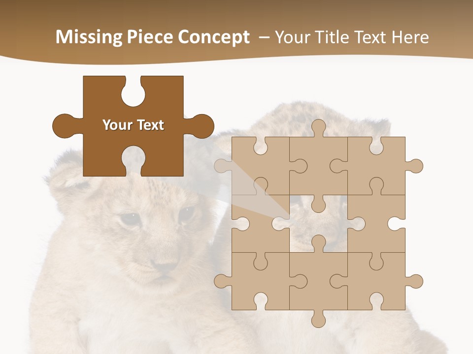 Whisker Animal Wild PowerPoint Template