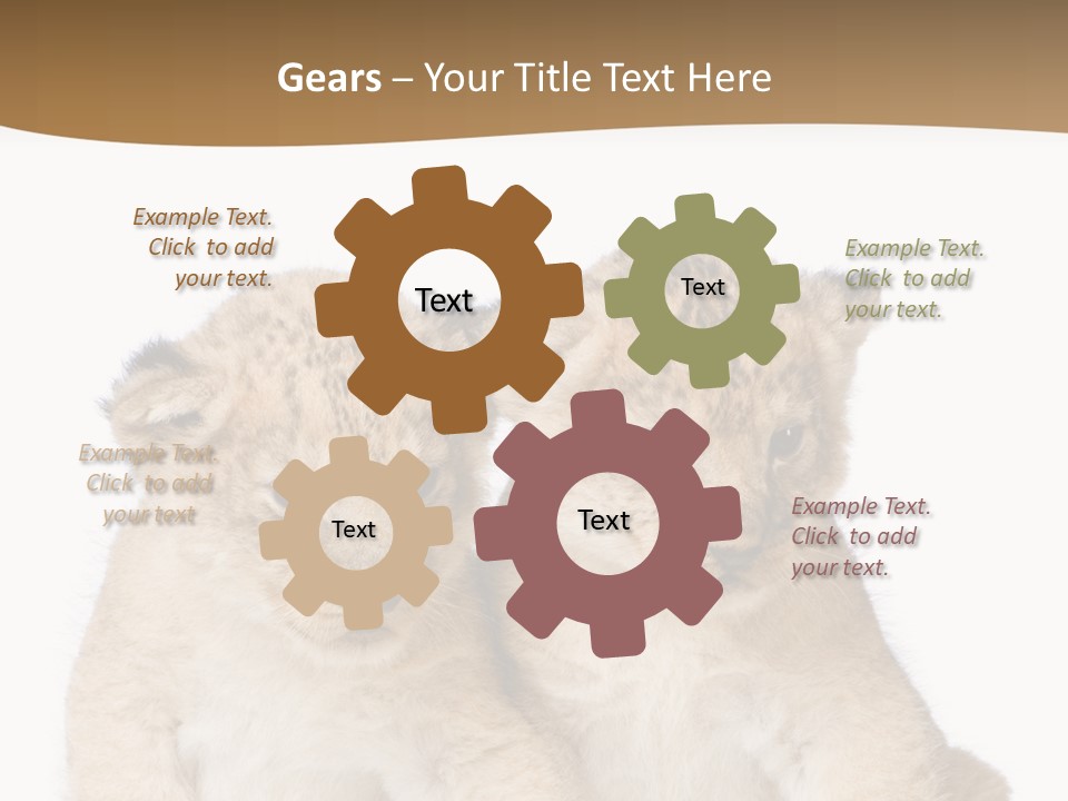 Whisker Animal Wild PowerPoint Template