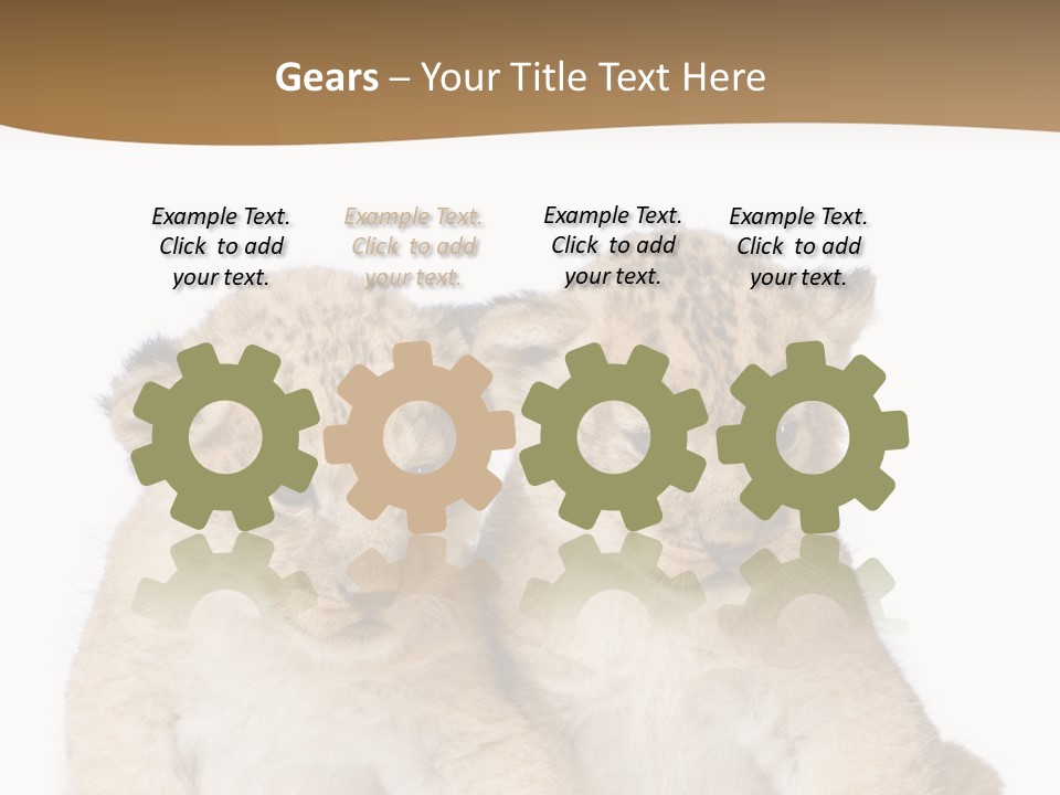 Whisker Animal Wild PowerPoint Template