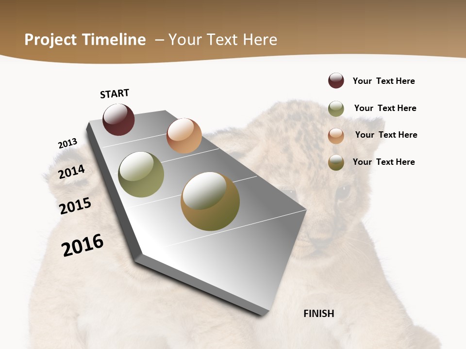 Whisker Animal Wild PowerPoint Template