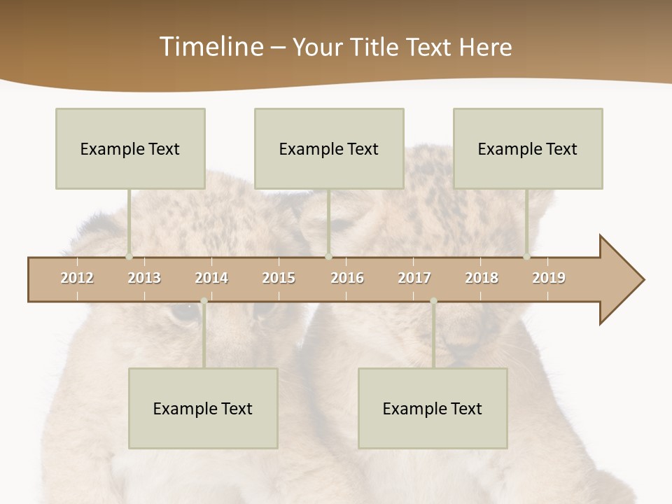 Whisker Animal Wild PowerPoint Template