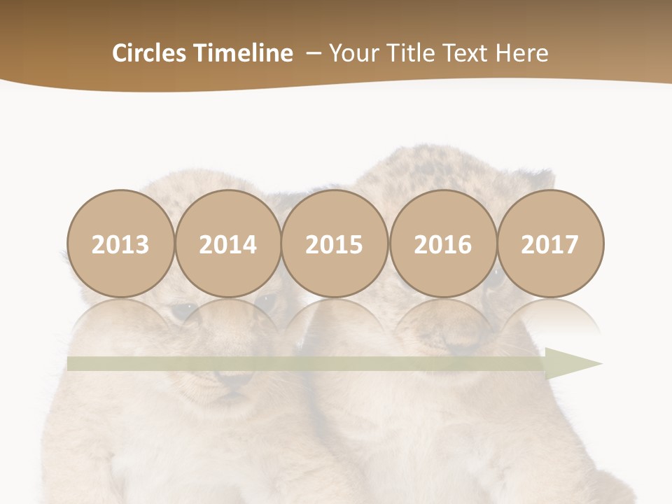 Whisker Animal Wild PowerPoint Template