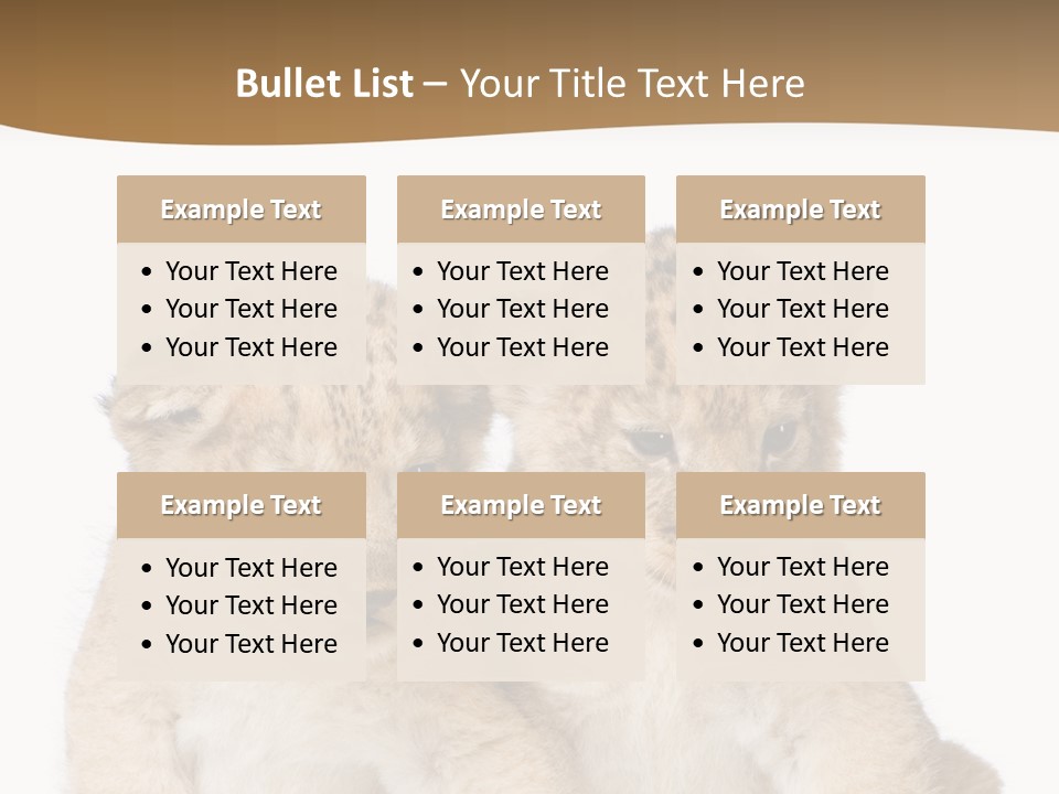 Whisker Animal Wild PowerPoint Template