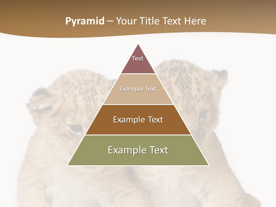 Whisker Animal Wild PowerPoint Template